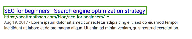 SEO Beginner's Guide - Page Title in Google SERP