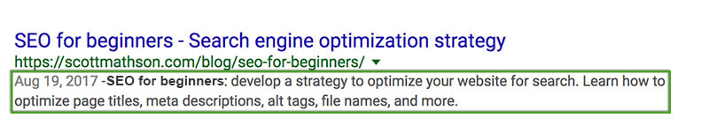 SEO Beginner's Guide - Meta Description in Google SERP
