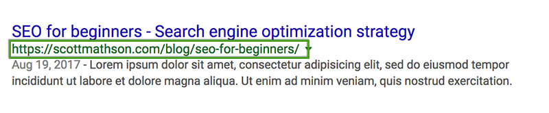 SEO Beginner's Guide - Semantic URL in Google SERP