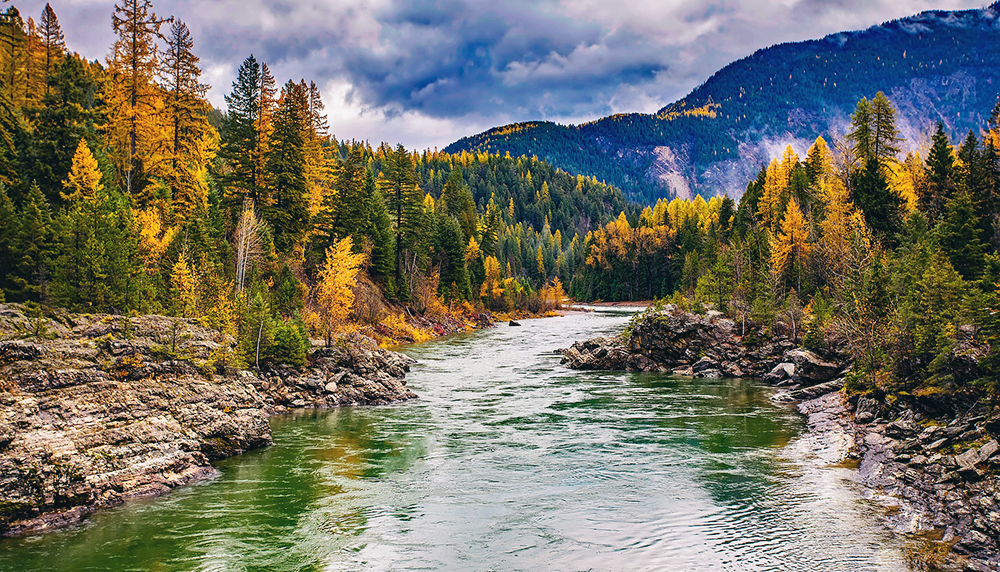 Montana western rivers